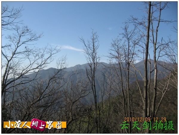 conew_img_7250.jpg
