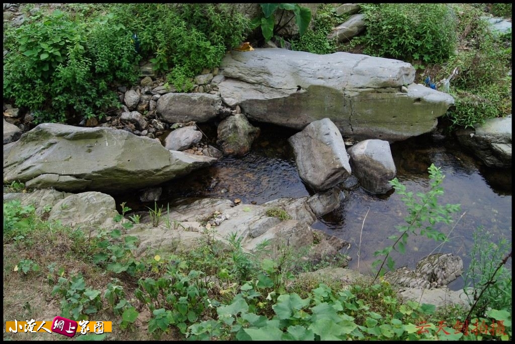 conew_dsc00708_conew1.jpg