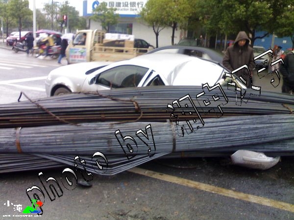 20100105691.jpg