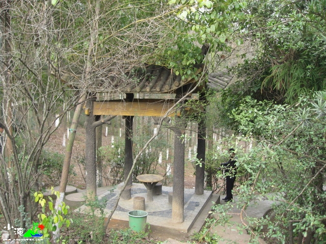 照片 050.jpg